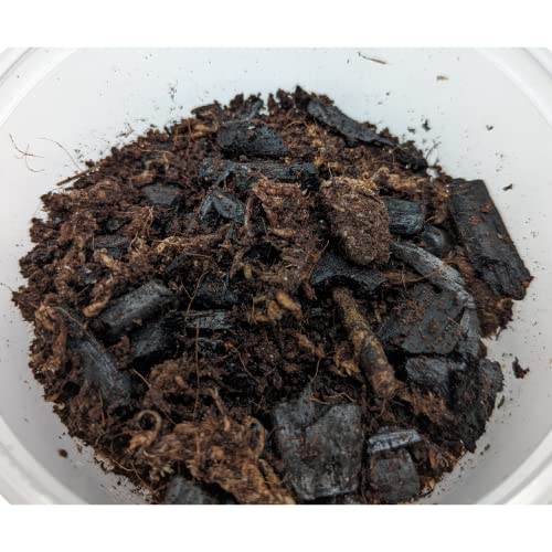 DBDPet Live Springtail Cultures - Great for Terrariums, Vivariums, and More - Microfauna for Bioactive Reptile & Amphibian Cages (Soil Culture) - size: 1 Pound (Pack of 1)