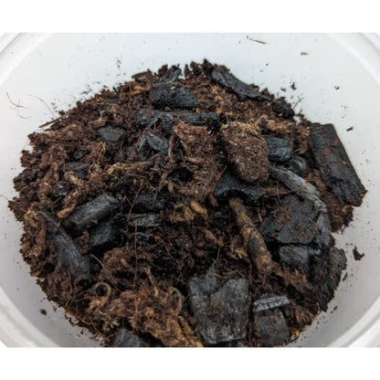 DBDPet Live Springtail Cultures - Great for Terrariums, Vivariums, and More - Microfauna for Bioactive Reptile & Amphibian Cages (Soil Culture) - size: 1 Pound (Pack of 1)
