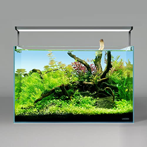 Kueiyang Hornwood for Aquascaping, Aquarium Driftwood Decor, Natural Branches(12-16 inches, 30-40cm) 4pcs Terrariums Vivariums Reptile and Amphibian Enclosures Various Shapes - size: XL (12-16 inches, 30-40cm), 4pcs
