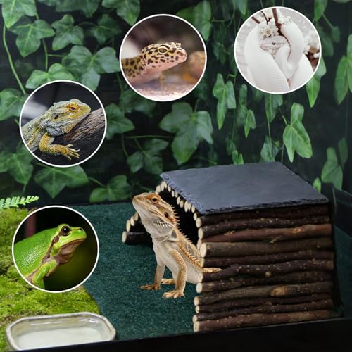 Bearded Dragon Tank Accessories - Natural Rock Basking Platform & Wooden Climbing Bridge Ladder Hideout, Habitat Décor for Tortoise, Snake, Gecko & Reptile Terrariums