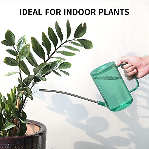 ONEDONE Watering Can Indoor Plants - Plant Watering Can 34 OZ, Long Spout Small Watering Can for House Plants Garden Potted Flowers with Spray Bottle, Squeeze Bottle Green - color: Green