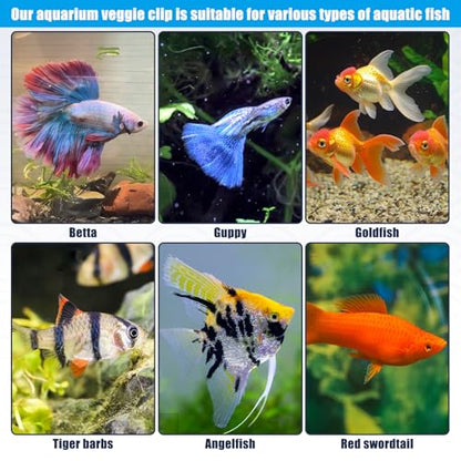 Magnetic Aquarium Veggie Clip Plant Feeding nori Seaweed Clip for Saltwater Fish Aquarium Magnet Lettuce Food clamp Fish Accessories—Patented Product (2pcs Magnetic Veggie Clip) - size: 2pcs magnetic veggie clip