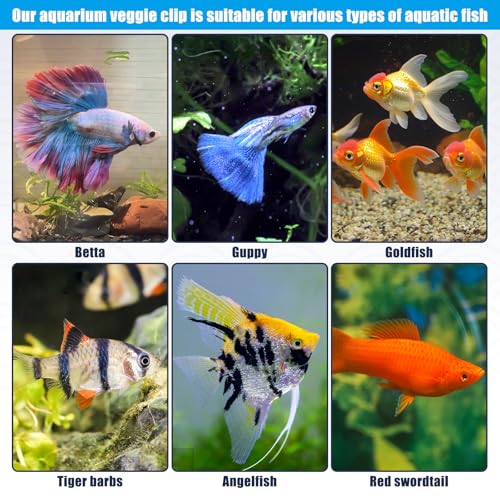 Magnetic Seaweed Fish Feeding Clip Saltwater Aquariums Magnet Veggie Feeder clamp Fish Accessories —Patented Product(4pcs Magnetic Veggie Clip) - size: 4pcs magnetic veggie clip