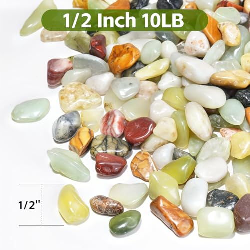 10 lbs Pebbles for Indoor Plants,1/2 Inch Stones for Plants,Small Colorful Pebbles,Suitable for Vases, Cactus Potted Plants, Fish Tanks,Fountain - color: Mixed Color, size: 1/2 Inch 10 LB