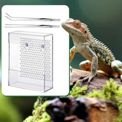 Geyoga Bearded Dragon Feeder with Suction Cups and 2 Tweezers Chameleon Bug Bowl Bug Feeder for Bearded Dragon Acrylic Reptile Feeding Box Tank and Aquarium Accessories for Lizard Gecko Frog(Clear) - color: Clear