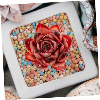 Ceramsite Gardening Decor Hydro Ceramsite Balls for Succulent Cactus Surface Decoration Air Permeable Horticultural Rocks for Use