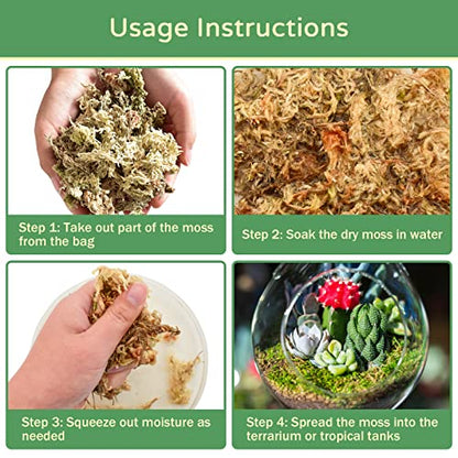 Riare 1.1LB Natural Sphagnum Moss for Reptiles- Terrarium Reptiles Moss | 25QT High Expansion, Moisture Retention, Long Fiber Dried Moss Bedding for Lepard Gecko Snakes Turtles Frogs Spiders - color: 1.1 LB