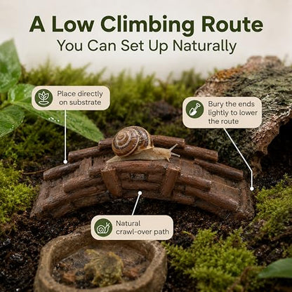 Pet Snail Hideout and Climbing Bridge Set for Terrarium Habitat Decor (Hideout) | Low-Profile Bark-Style Hideout and 17 cm Bridge for Natural Resting and Crawling Routes