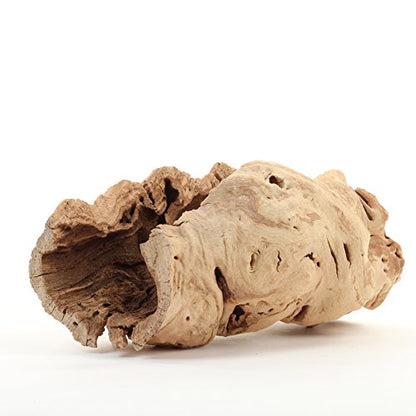 Koyal Wholesale 10" Hollow Grapewood Branch Decor 1Pcs Grapewood Centerpiece Vase Air Plants Sand Blasted Grapevine Wood Untreated Terrarium Wood Driftwood Decor
