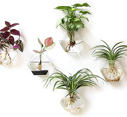 Kingbuy Hexagon Wall Planter Set - 3 Pack Glass Propagation Terrarium Vases with Hanging Mounts for Indoor Plants, Air Plants & Hydroponic Stations Home Office Decor, Plant Lover Gifts (Medium) - size: Medium