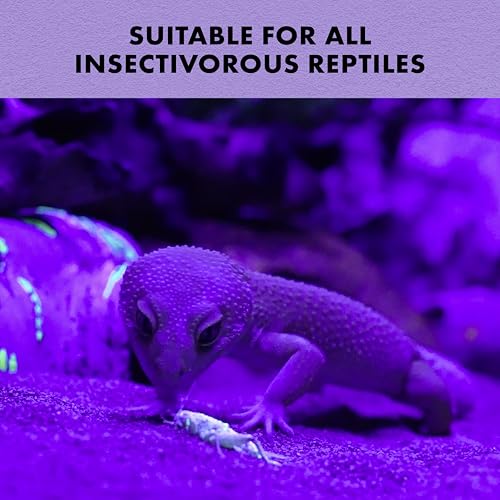 Zilla Cricket Glow Powder, Calcium Powder 4 Ounces | Add to Reptile Food, Provides Calcium, Ideal for Insectivores - size: 4 Ounce (Pack of 1)