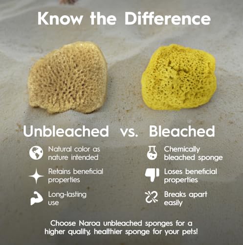 Naroa Natural Hermit Crab Sponges - Pack of 5 | Unbleached Sea Sponge for Water Drinking Safety | Aquarium Decor Balance Tank Humidity | Crab Supplies Accessories