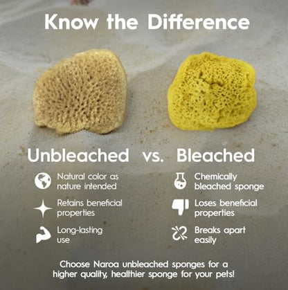 Naroa Natural Hermit Crab Sponges - Pack of 5 | Unbleached Sea Sponge for Water Drinking Safety | Aquarium Decor Balance Tank Humidity | Crab Supplies Accessories