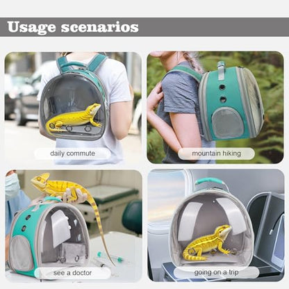 WEVONIGU Expandable Small Animal Backpack Carrier with Clear Bubble Window Large Space Travel Cage for Hedgehog Rat Parrot,Bearded Dragon,Sugar Glider,Airline Approved (Green, BE Backpack) - color: Green, size: BE Backpack