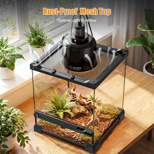 6 Gallon Fully Assembled Glass Reptile Enclosure,10"x 10" x 14" | Front Opening Tall Reptile Terrarium Tank for Baby Crested Geckos, Tree Frogs, Praying Mantises, Jumping Spiders - size: 10"L x 10"W x 14"H