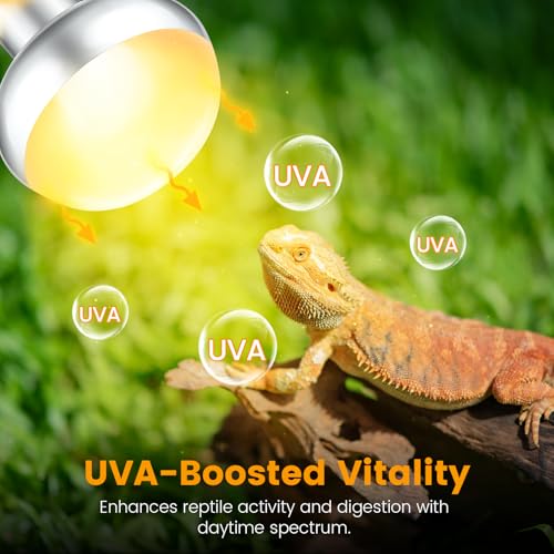 Dual Reptile Light Fixture with 100W Daytime Heat & UVB 10.0 Reptile Bulb, 2 Independent Switches, Reptile UVA UVB Heat Combo Pack - size: ST3