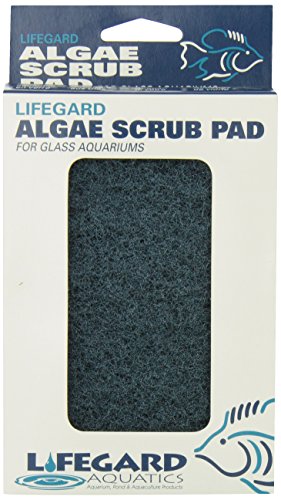 Lifegard Aquatics 4-Inch by 6-Inch Blue Algae Pad, Black, Model Number: R270912