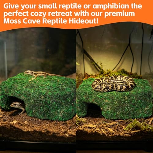 Small Green Reptiles Cave Hideout, Lizard Moss Hide | Safe Shelter, Handmade Snake Cave Hideout Hut for Themed Terrarium Ideal for Gecko Hamster Snake Rest & Hide