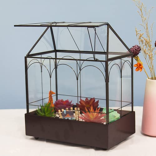 Large Tall Glass Plant Terrarium – House Succulent Terrarium Kit with Lip and Tray Glass Greenhouse Terrarium for Plant 9.5”X5.7”X11.4” - color: Black 3