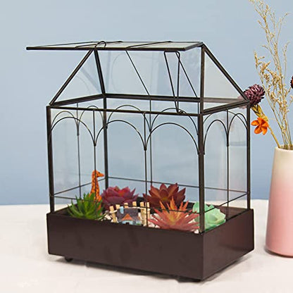 Large Tall Glass Plant Terrarium – House Succulent Terrarium Kit with Lip and Tray Glass Greenhouse Terrarium for Plant 9.5”X5.7”X11.4” - color: Black 3