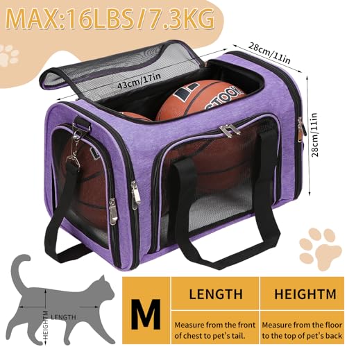 Soft-Sided Cat/Dog/Pet Carrier, Collapsible Pets Travel Carriers | for Big Cats/Small Dogs with Shoulder Strap & Removable Mat, Mesh Puppy Carry Bag, Up to 16 Lbs, TSA Airline Approved(Purple) - color: Purple, size: 17"L x 11"W x 11"H