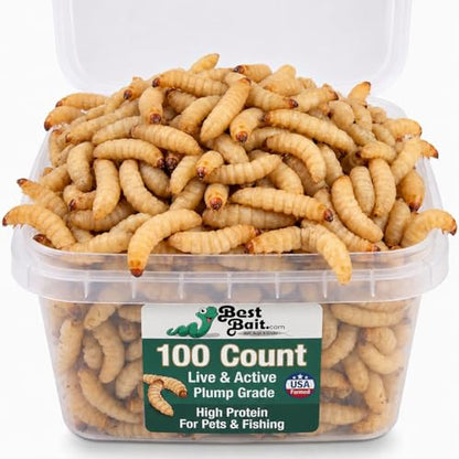 100 Count Premium Live Waxworms for Reptiles, Birds, Amphibians & Fishing Bait - High-Protein, Calcium-Rich Soft-Bodied Larvae - Ideal for Bearded Dragons, Geckos, Chickens & Trout