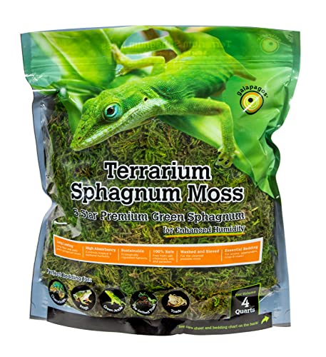 Galápagos (05213) Terrarium Green Sphagnum Moss, Natural, 4 Quart - size: 4 QT