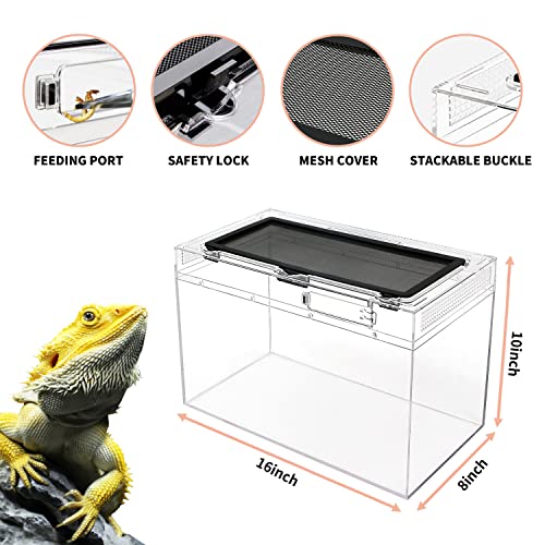Reptile Terrarium,16" x 8"x 10" Reptile Tank with Full View Visually Appealing，for Insect，Fish，Tarantula，Hermit Crab，Jumping Spider，Iguana，Tortoise，Leopard Gecko，Frog，Bearded Dragon - size: 16" x 8"x 10"