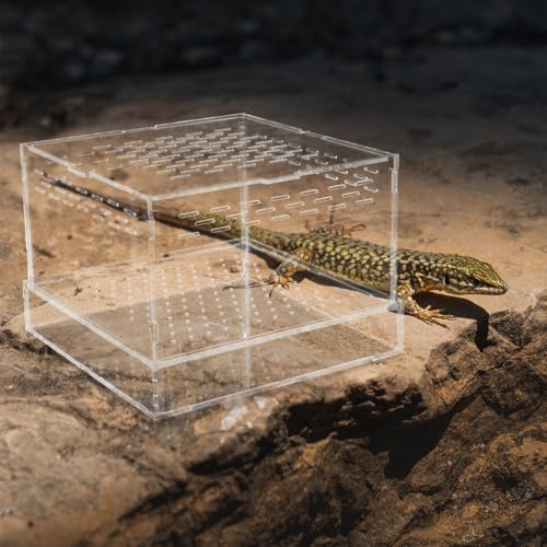 UKCOCO Acrylic Insect Feeding Box with Lid for Breeding Reptiles, Mealworm Habitat Container Suitable for Tarantula and Snake Enclosures