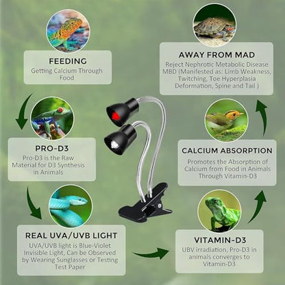 Heat Lamp for Reptile,UVA UVB Light for Turtle,Bearded Dragon Basking Light Bulbs,Dimmable 360°Gooseneck UV Heating Lamp W/ G9 Mini Halogen Bulbs 60W (White*2，Red*2) for Tortoise/Snake/Lizard