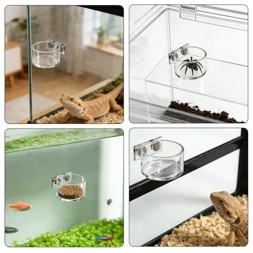 Jumping Spider Feeding Dish 2 Pack Magnetic Water Bowl with Tweezers | Magnetic Mounting, Shallow Design, Acrylic Material, Easy To Clean