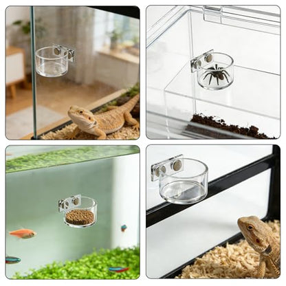 Jumping Spider Feeding Dish 2 Pack Magnetic Water Bowl with Tweezers | Magnetic Mounting, Shallow Design, Acrylic Material, Easy To Clean
