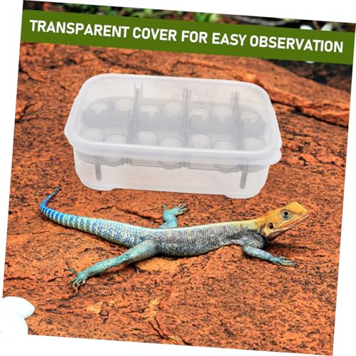 Reptiles Hatching Box Breeding Container for Geckos Turtles and Snakes Transparent Observation Lid Easy to Use and Clean for Home Store