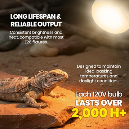 CALPALMY 4-Pack 150W Reptile Heat Lamp Bulb, UVA Daylight Basking Light for Reptiles, Bearded Dragon, Lizard, Turtle, Snake, Tortoise, Chicken – Flat Bottom Design, Long Lifespan, 120V E26 Base