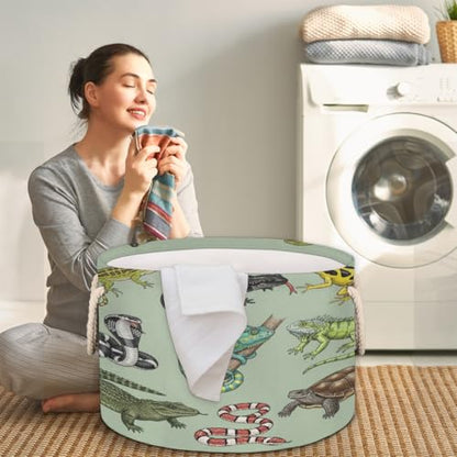 Large Storage Baskets - Reptiles Amphibians Lizards Nursery Round Collapsible Organizer Bin Box, Laundry Hamper for Kids Toys, Blanket, Bedroom Living Room Home Decor, Gift Basket, 19.4"x13.3"