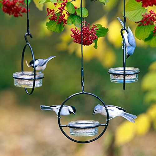 Hummble Hanging Glass Bluebird Mealworm Feeder for Wild Birds, High Protein Feeder for Bluebirds, Decorative Outdoor Feeder, Easy Fill and Clean 3.4 oz