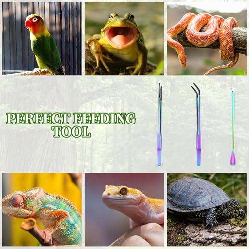 3 Pack Reptile Feeding Tongs,Stainless Steel Feeding Tongs, Aquarium Tweezers with 10.6" Straight, Curved and Spoon Tips for Easy Feeding