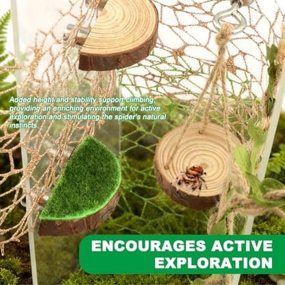 Jumping Spider Habitat Decor Set, 7-Piece Enclosure Climbing Kit | Includes 2 glitter webs, 3 wood platforms, 1 swing, and 1 rope bridge for climbing, resting, and styling enclosures