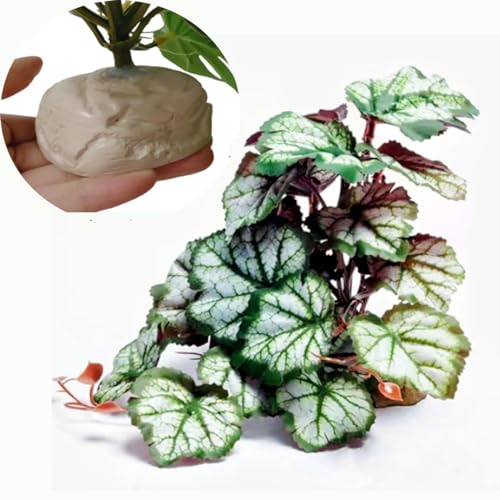 Fake Plants for Reptiles,Artificial Plants for Terrarium Decor | Amphibian Habitat Decor,Fake Reptile Plants for bearded dragon Gecko Lizard Snake Tortoise with Base,Enclosure Accessories - color: Green Heuchera Micrantha