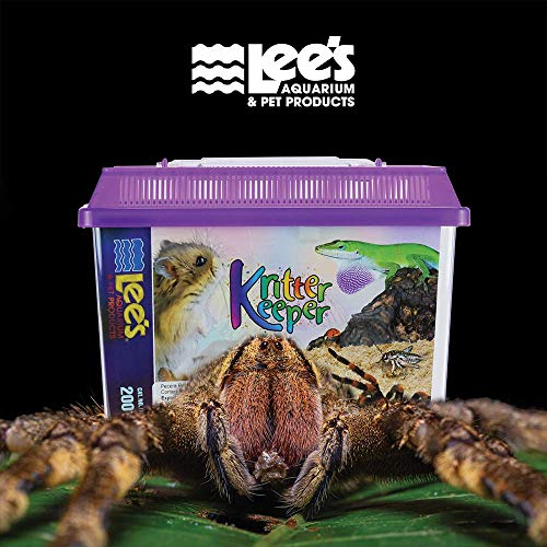 Lee's Kritter Keeper, Rectangle with Lid - Small, Assorted Colors