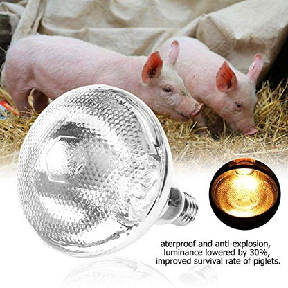 Livestock Heat Lamp, 175W Sunlight Lamp Heating Light Bulb for Reptile Snake Piglet, etc (175W)