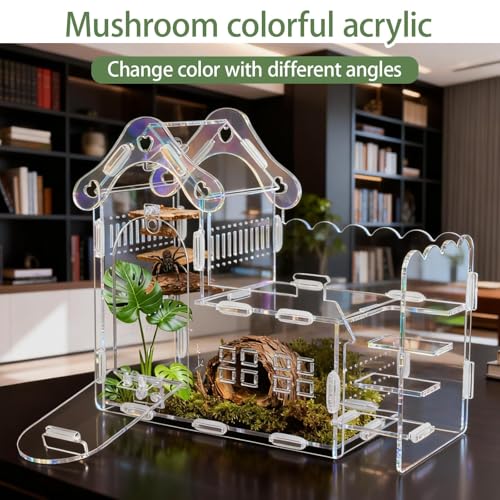 Magnetic Acrylic Jumping Spider Enclosure with Mushroom House, Easy-Feed Hole & Front Opening – Terrarium for Tarantula, Mantis, Beetle, Gecko, Hermit Crab, Reptile Habitat - color: Transparent color
