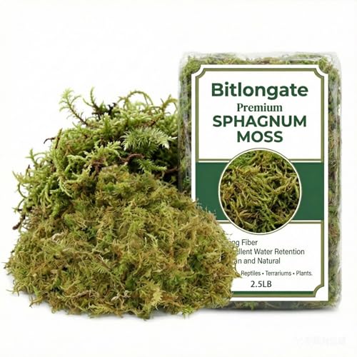 2.5 LB Sphagnum Moss for Plants, Long Fiber Orchid Moss for Carnivorous Plants, Terrariums and Indoor Potting, Compressed Sphagnum Bricks.