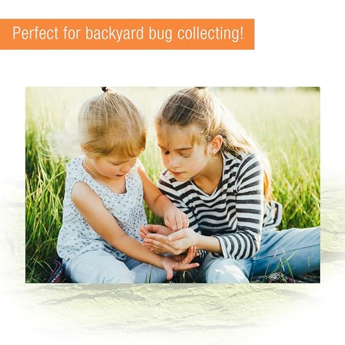 Zilla Micro Habitat Terrarium, Terrestrial, with Locking Latch, for Isopods, Spiders, Insects, Large - size: Large, style: Terrestrial