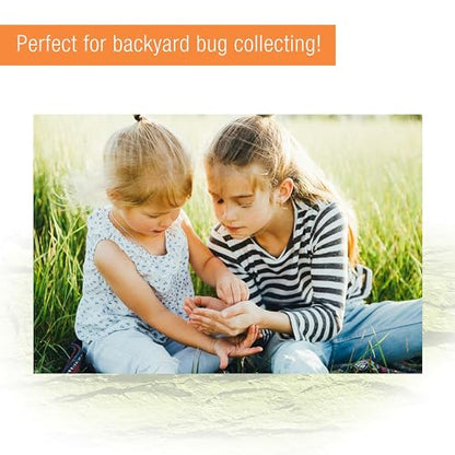 Zilla Micro Habitat Terrarium, Terrestrial, with Locking Latch, for Isopods, Spiders, Insects, Large - size: Large, style: Terrestrial