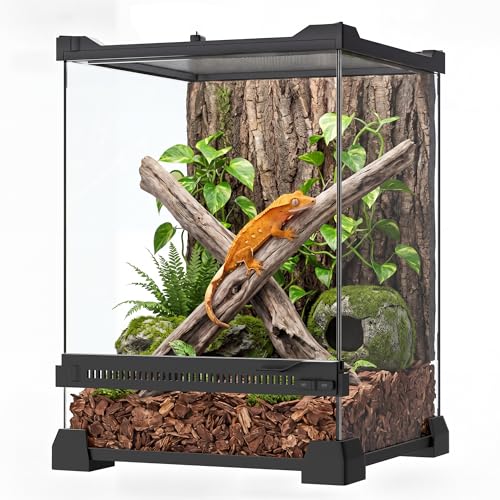 6 Gallon Fully Assembled Glass Reptile Enclosure,10"x 10" x 14" | Front Opening Tall Reptile Terrarium Tank for Baby Crested Geckos, Tree Frogs, Praying Mantises, Jumping Spiders - size: 10"L x 10"W x 14"H