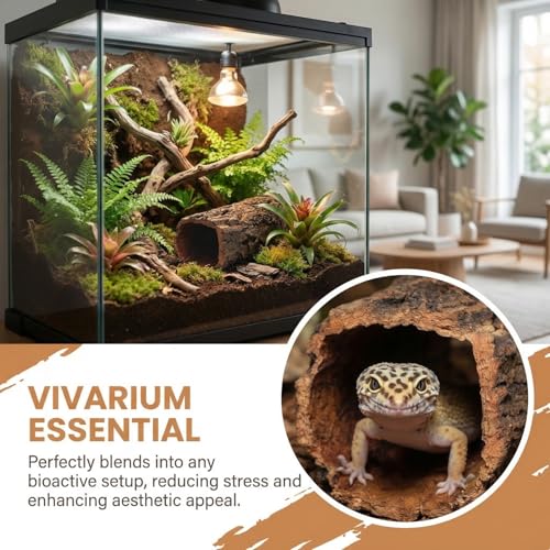 POPETPOP Reptile Hideout Cave with Hollow Tree Design, Natural Resin Material, Medium Size, Terrarium Habitat Shelter for Leopard Gecko, Lizard, Snake, Turtle, Hermit Crab | Round Cork Bark Tube, Wood Tree Trunk Shelter for Snakes, Lizards, Hermit Crabs,