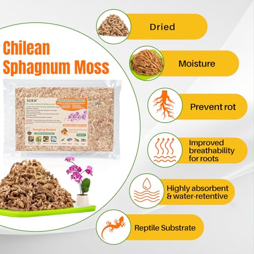 Sukh Sphagnum Moss for Plants - 3 OZ Long-Fiber Orchid Moss for Repotting | Dried Peat Moss for Phalaenopsis, Cattleya, Succulents, Carnivorous Plants, Moss Poles, Indoor Plants and Reptiles