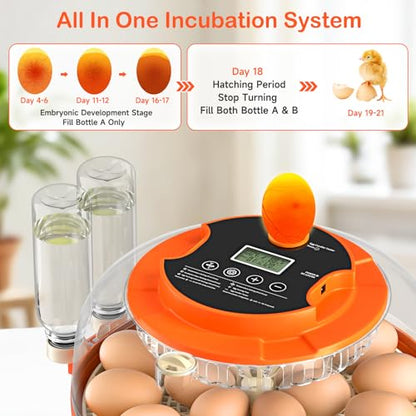 18 Egg Incubators for Hatching Eggs, Automatic Egg Turning and Humidity Control Incubator for Hatch Chicken Duck Quail Pigeon Pheasant Partridge Home Classroom Lab- - size: 18H