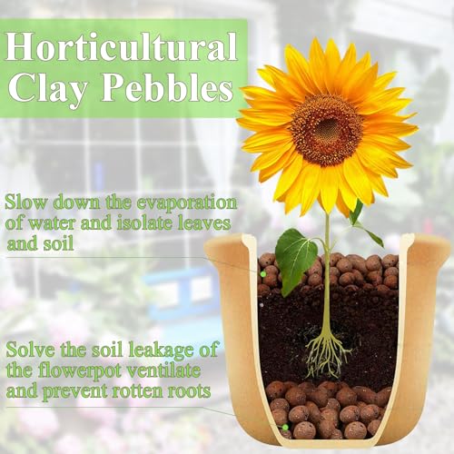FANTIAN Clay Pebbles for Plants, 2 lbs Aquatic Plant Soil, 8-12 mm | Leca Clay Balls for Plants, Orchid Potting Mix, Soil Drainage, Used in Hydroponic Growing, Help with Root Development - color: Clay Pebbles